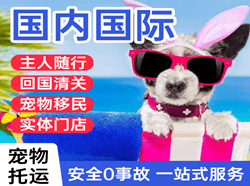 烟台蓬莱航空邮寄国际宠物托运 【国